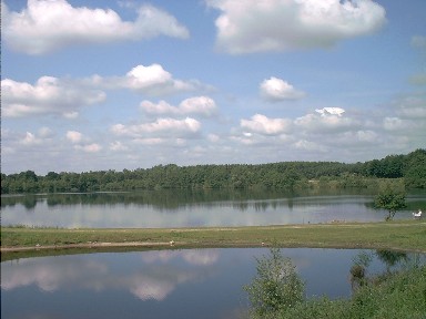 Bild_008