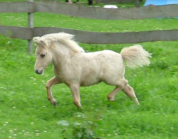DSCF5608k
