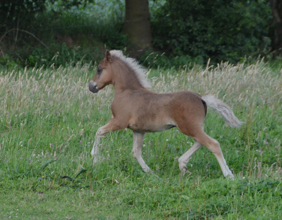DSC_0031k